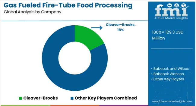 Gas Fueled Fire Tube Food Processing Boiler Market  Analysis By Company
